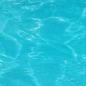 Meet your Posher, Michele